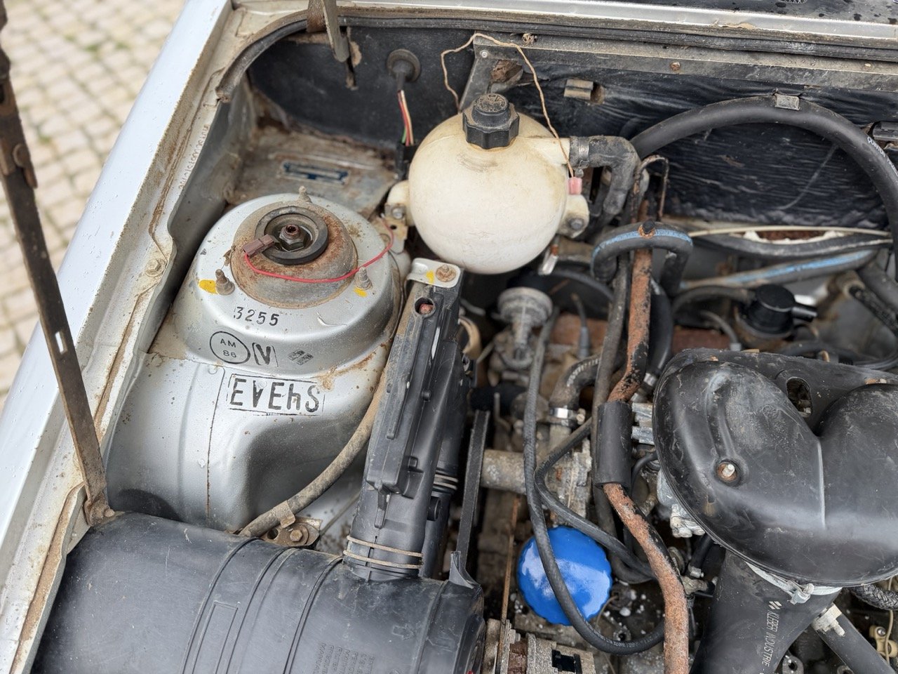 IMG_0521 – grande.jpeg