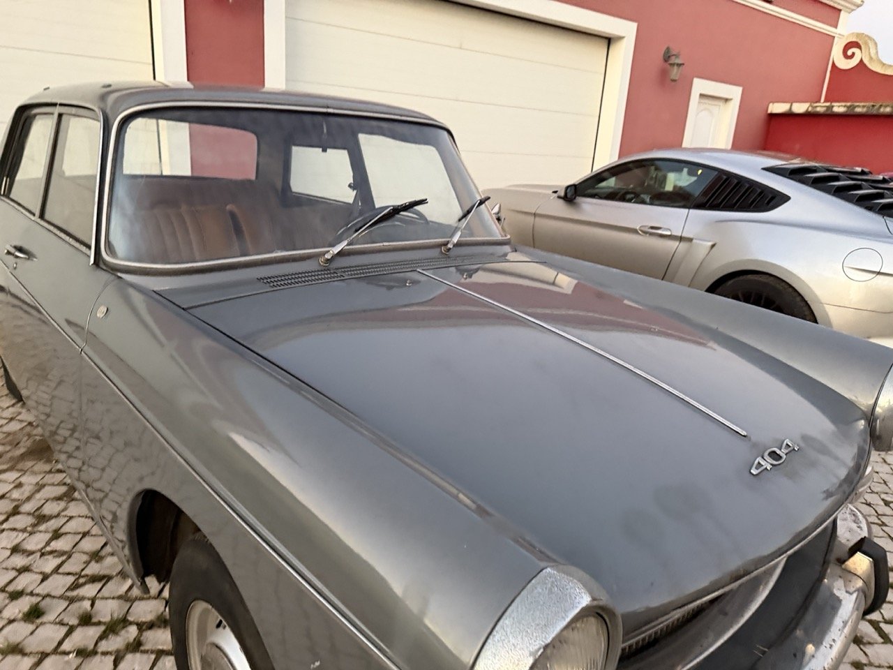 IMG_7545 – grande.jpeg