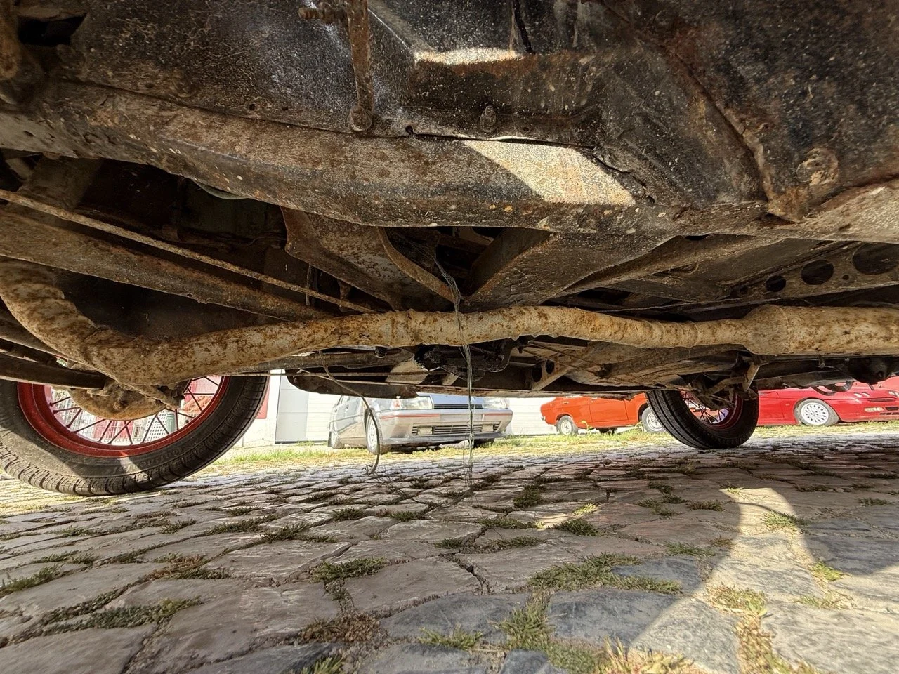 IMG_3736 – grande.jpeg