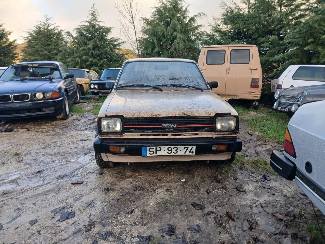 22c097f8-a8a1-4892-8a4e-0dd238d7eaff – grande.jpeg