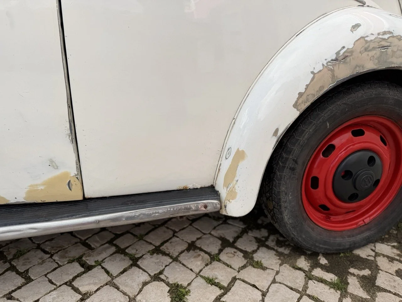 IMG_8655 – grande.jpeg