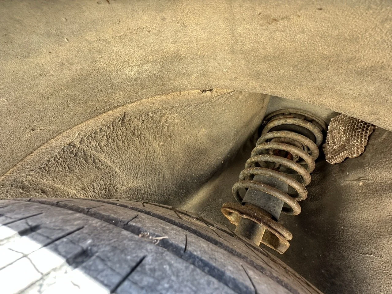 IMG_3126 – grande.jpeg