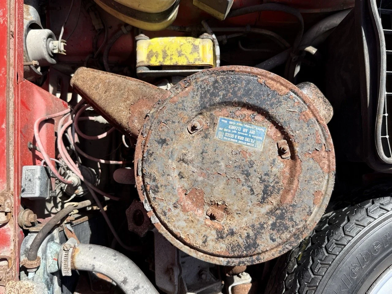 IMG_2292 – grande.jpeg