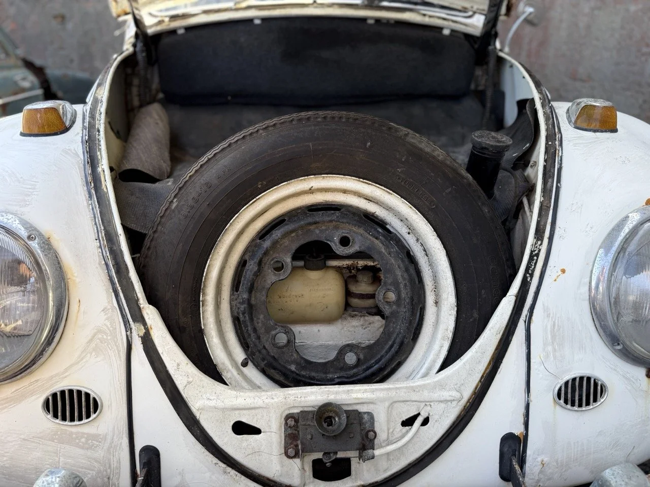 IMG_0679 – grande.jpeg