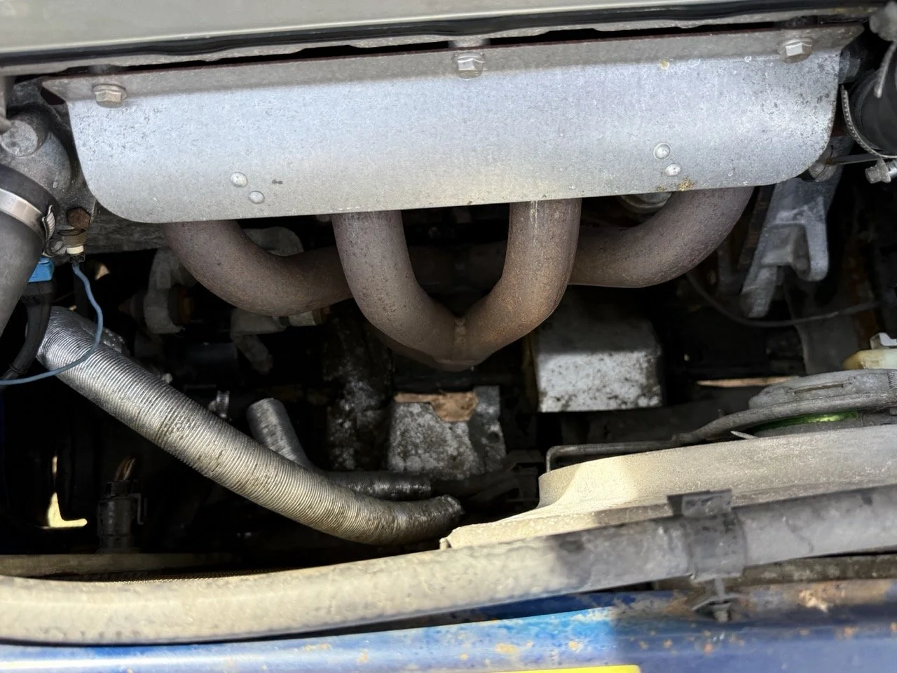 IMG_2422 – grande.jpeg