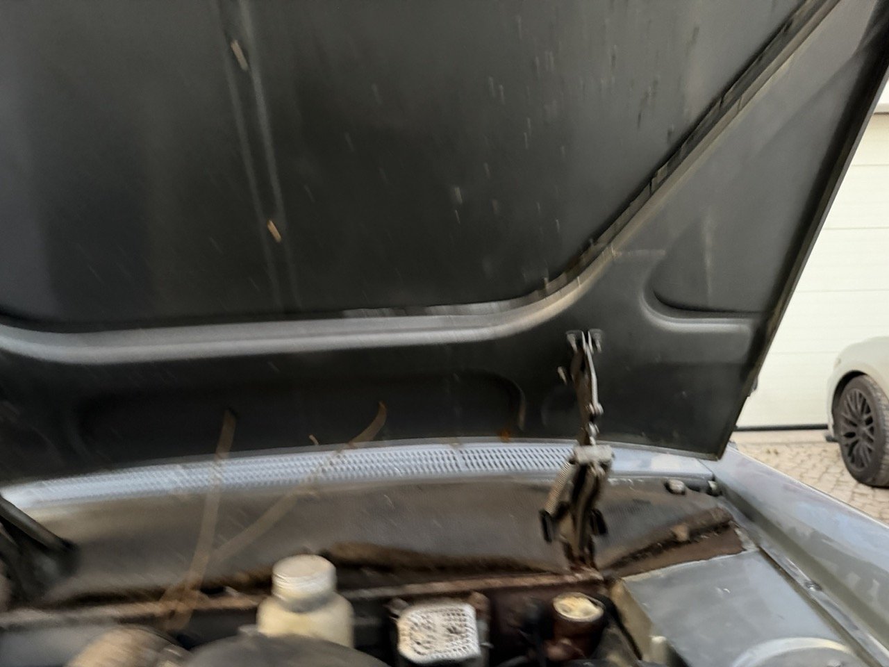 IMG_7516 – grande.jpeg