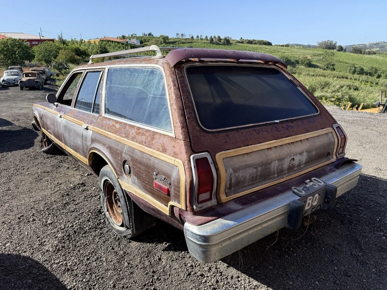 IMG_3006 – grande.jpeg