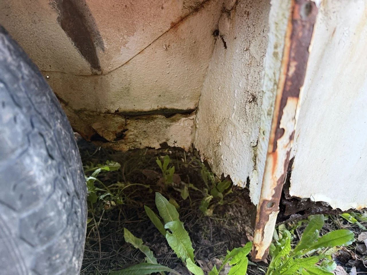 IMG_0901 – grande.jpeg