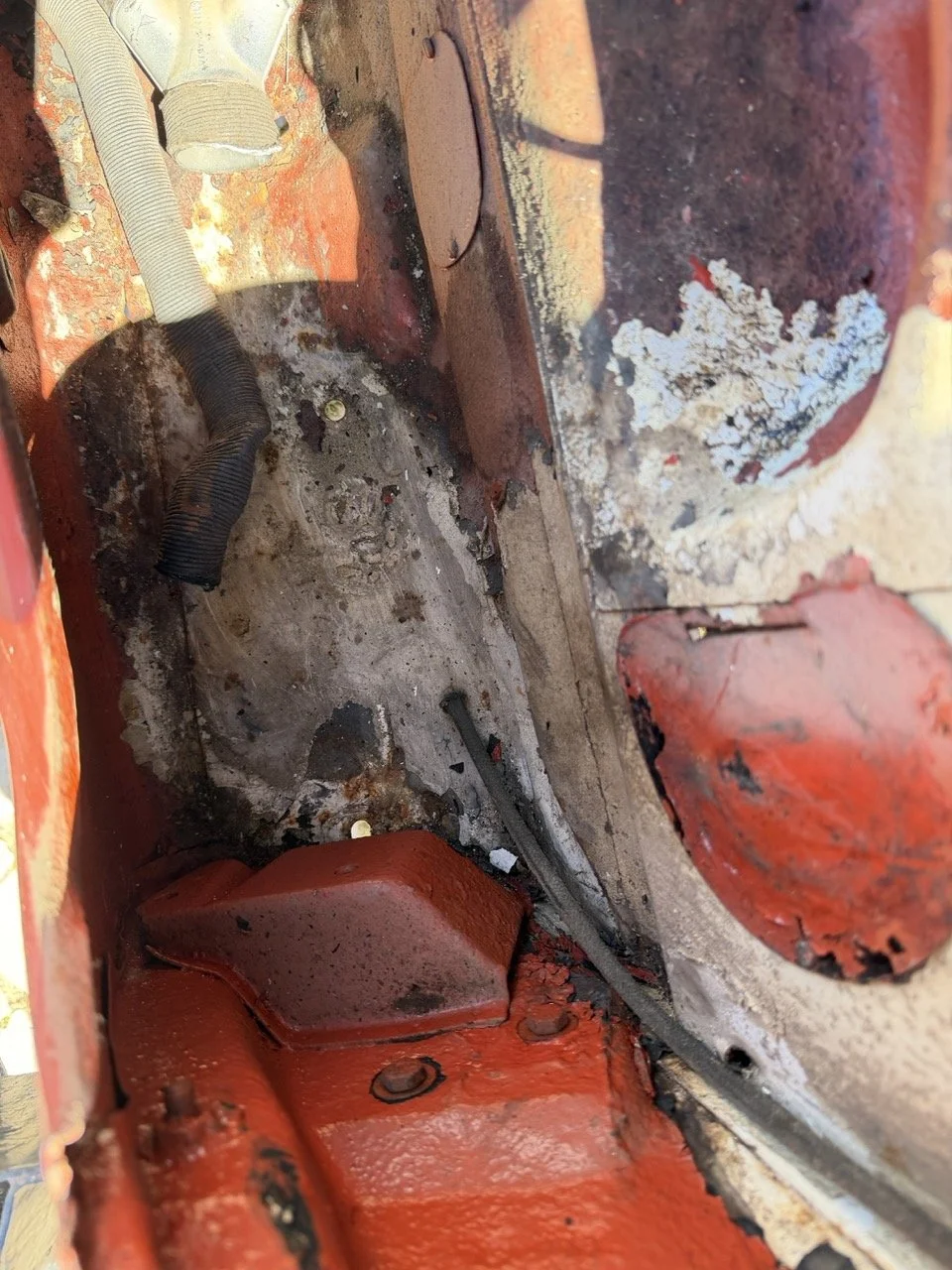 IMG_7564 – grande.jpeg