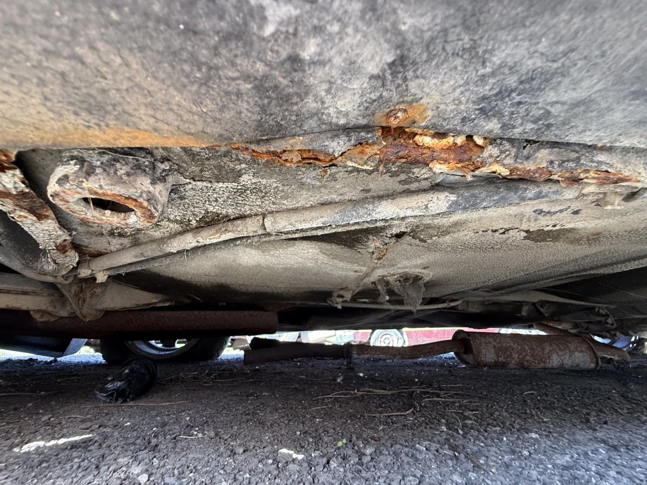 IMG_2946 – grande.jpeg