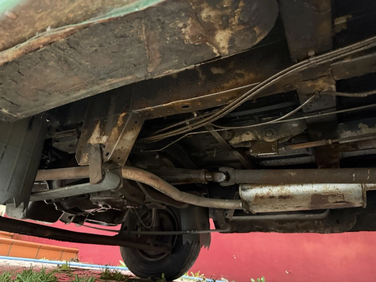 IMG_9980 – grande.jpeg