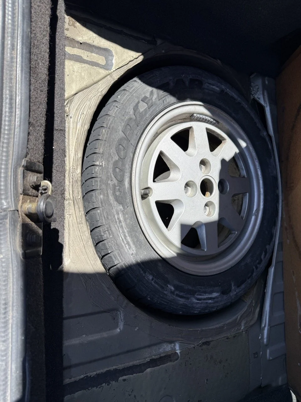 IMG_1902 – grande.jpeg