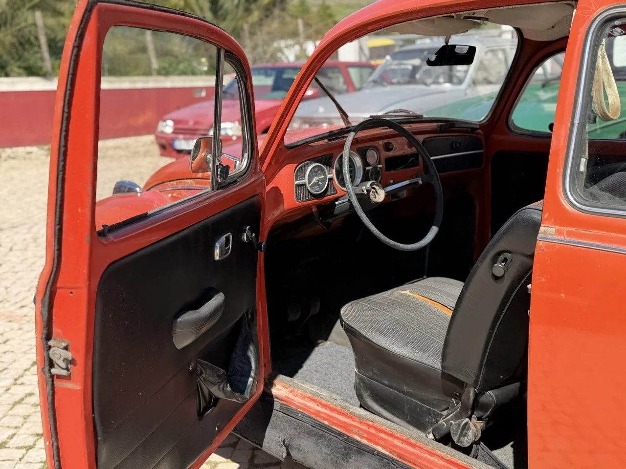 IMG_7517 – grande.jpeg