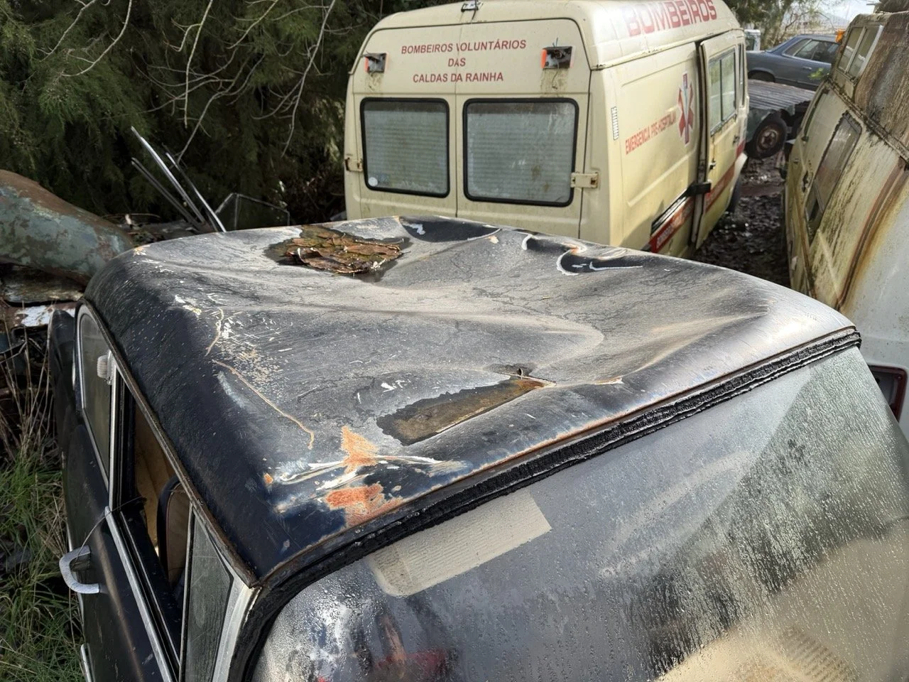 IMG_5038 – grande.jpeg