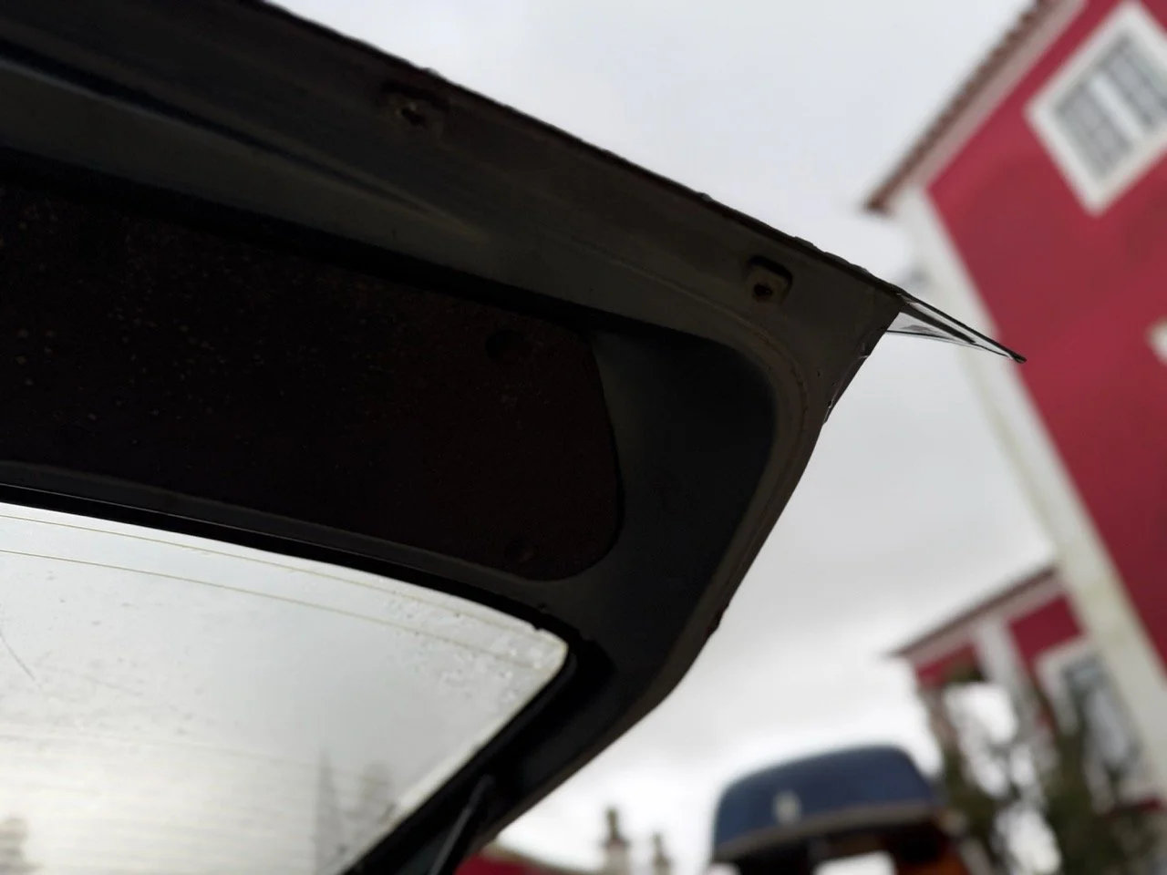 IMG_0607 – grande.jpeg