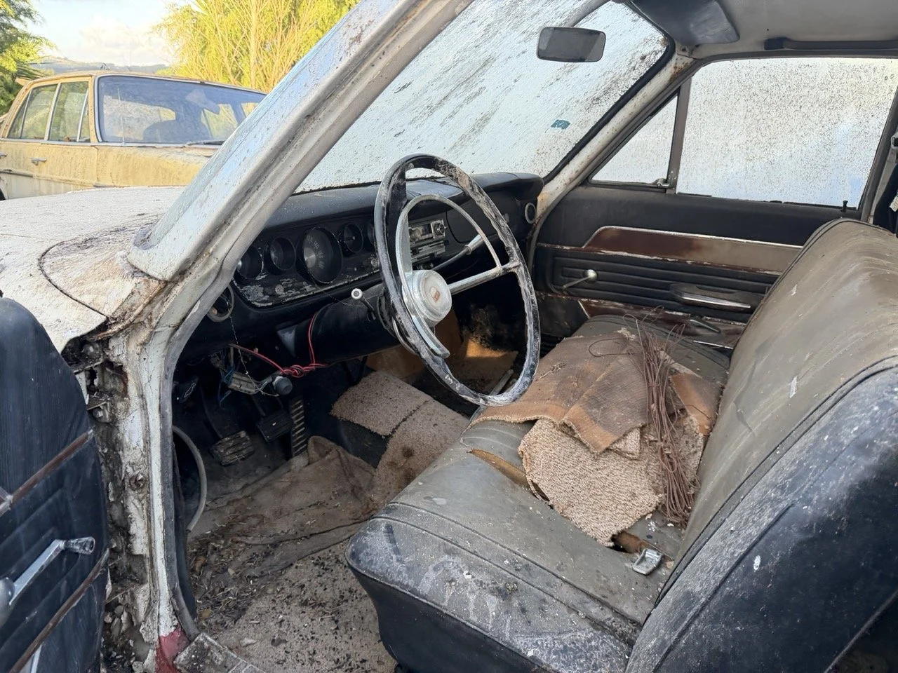 IMG_4080 – grande.jpeg