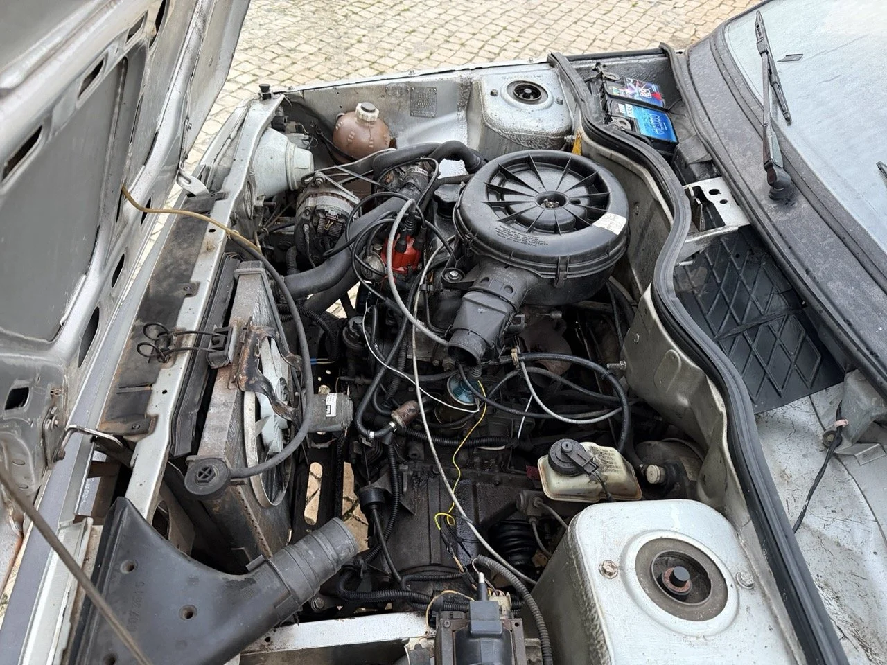 IMG_4732 3 – grande.jpeg