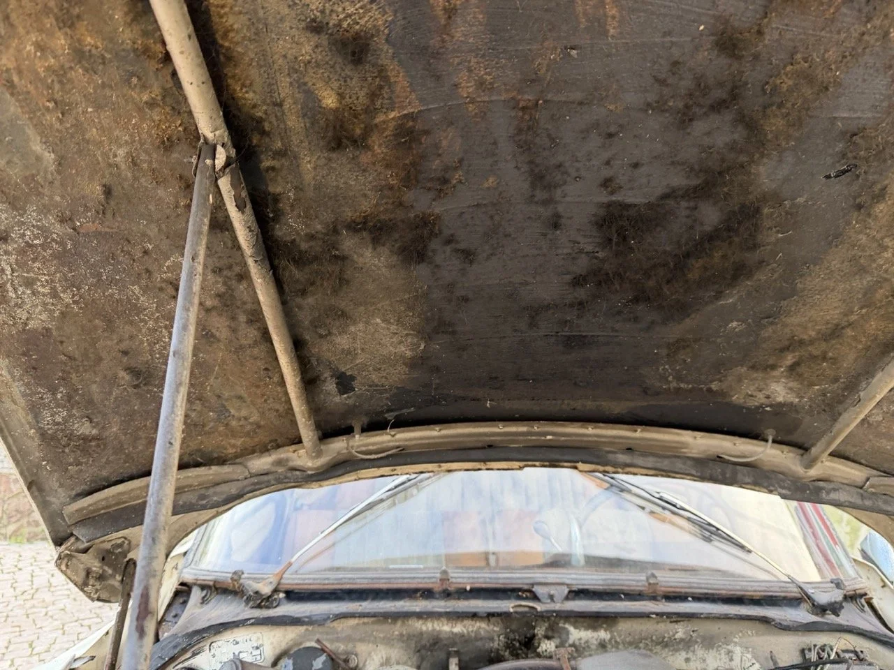 IMG_5978 2 – grande.jpeg