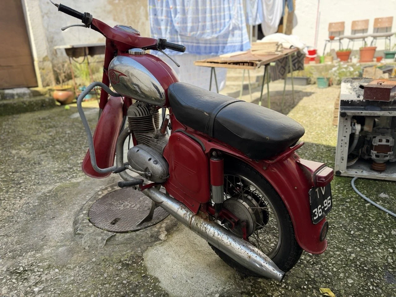 IMG_5896 – grande.jpeg