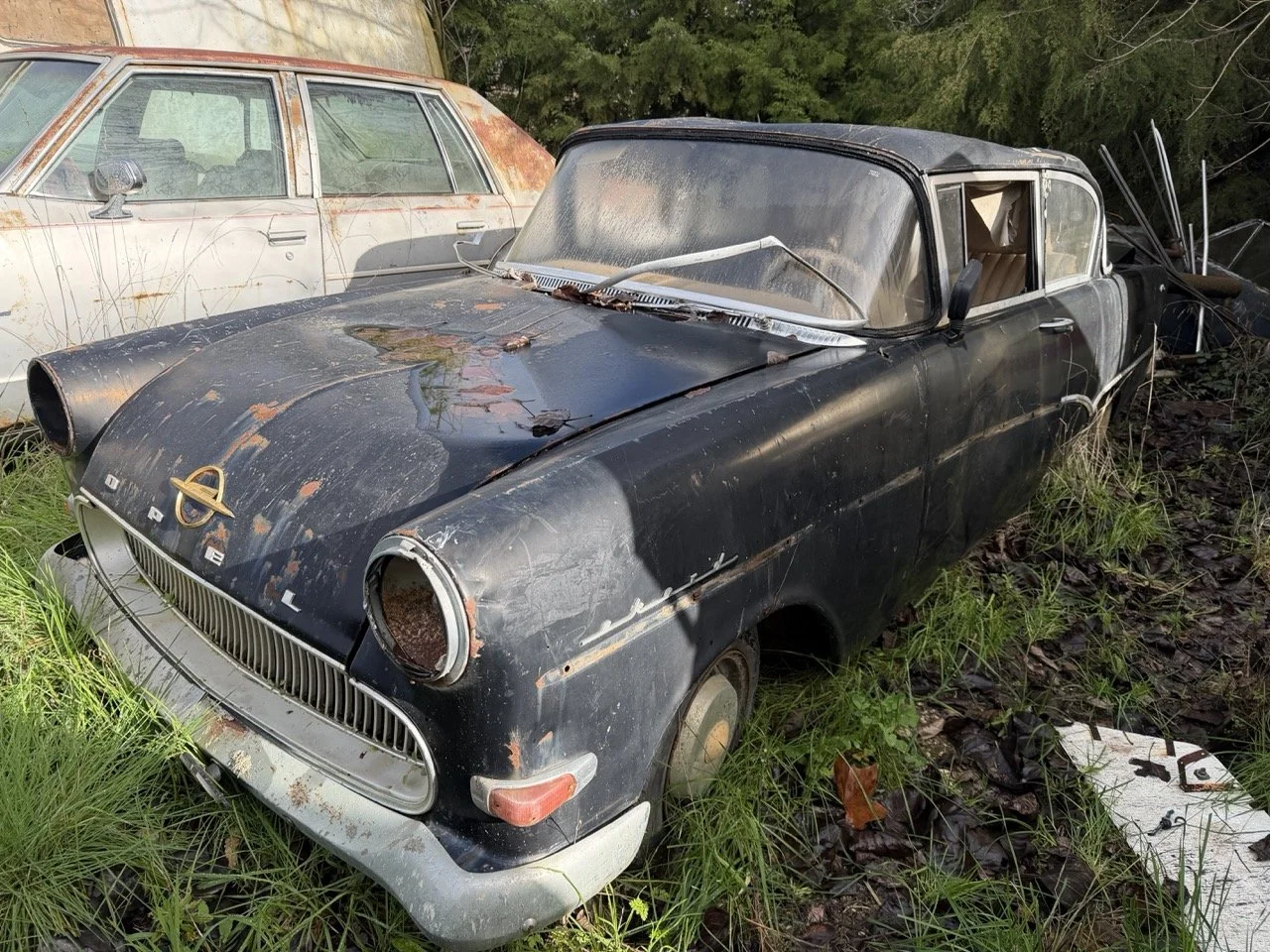 IMG_5032 – grande.jpeg