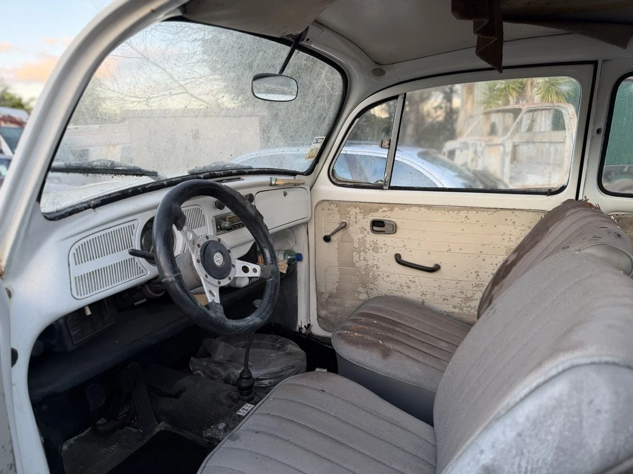 IMG_8595 – grande.jpeg