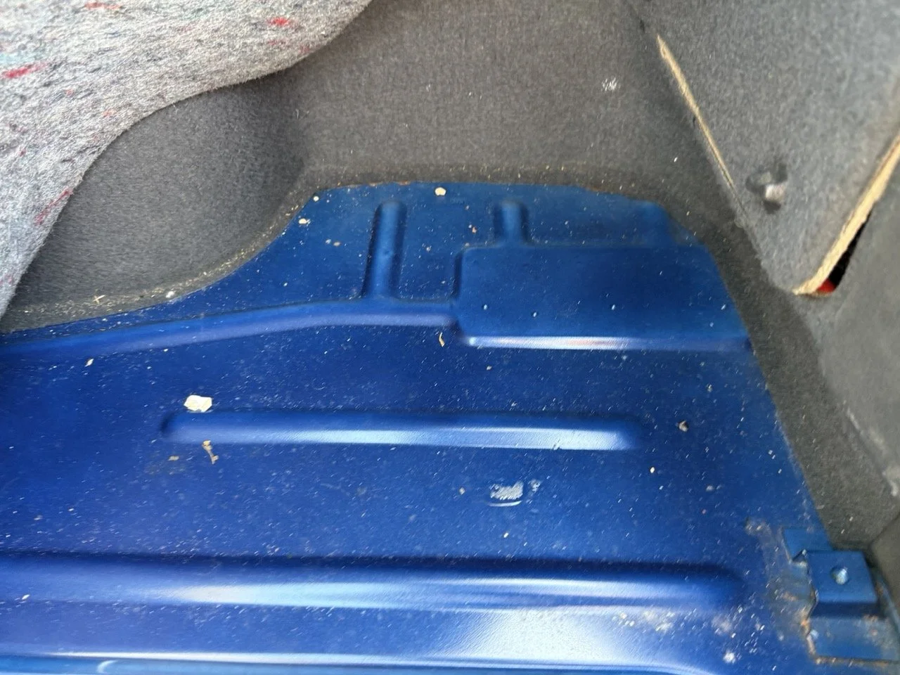 IMG_2466 – grande.jpeg