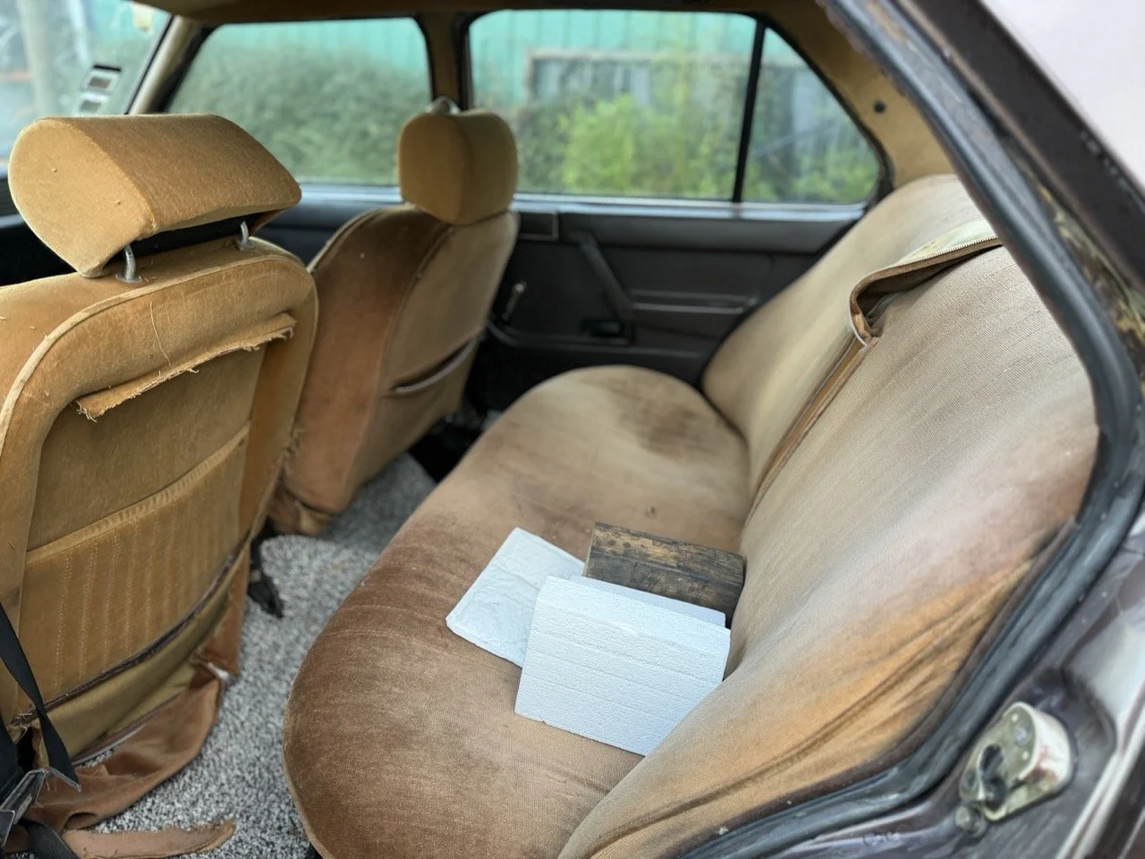 IMG_5249 2 – grande.jpeg