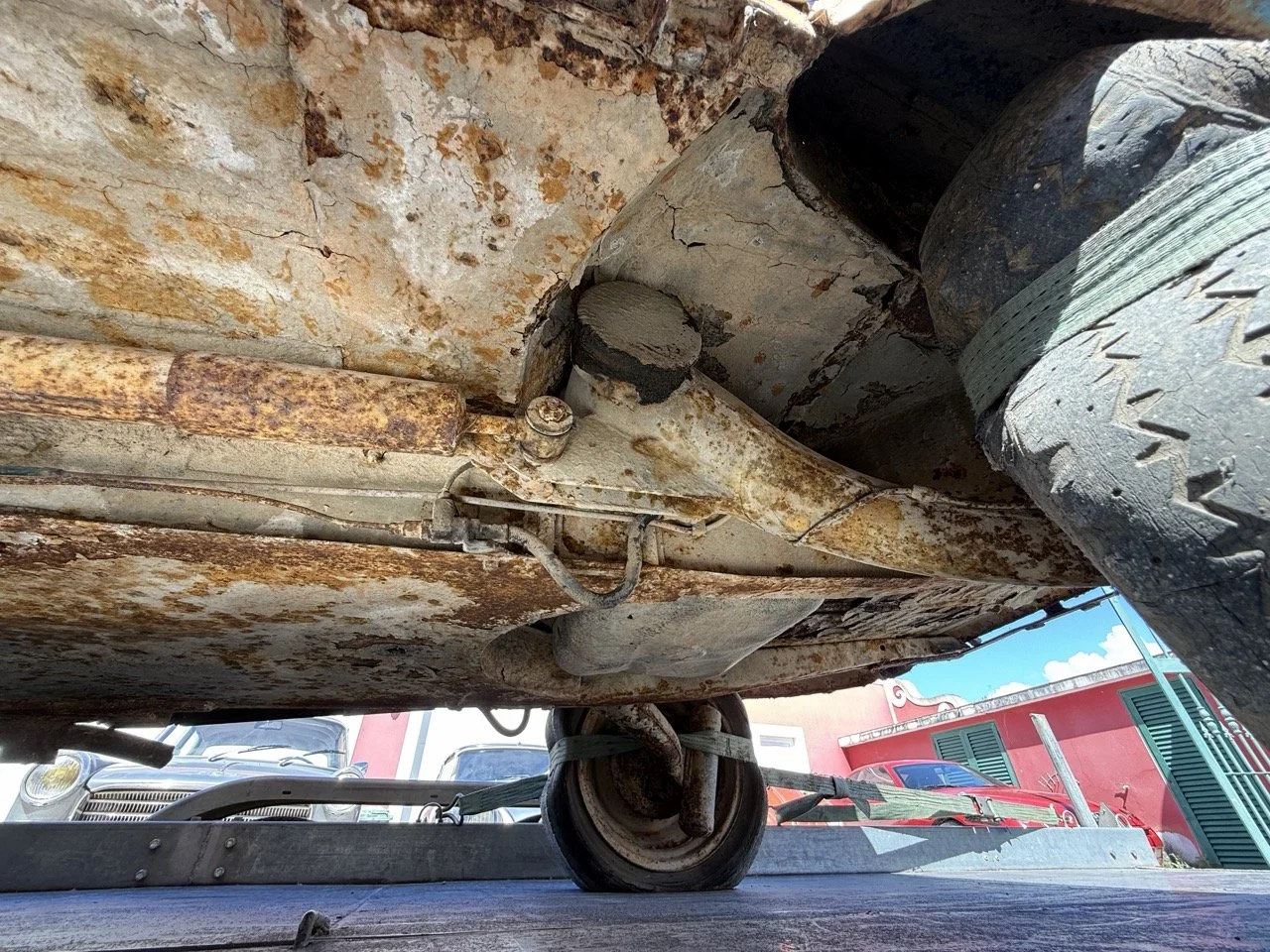 IMG_9129 – grande.jpeg