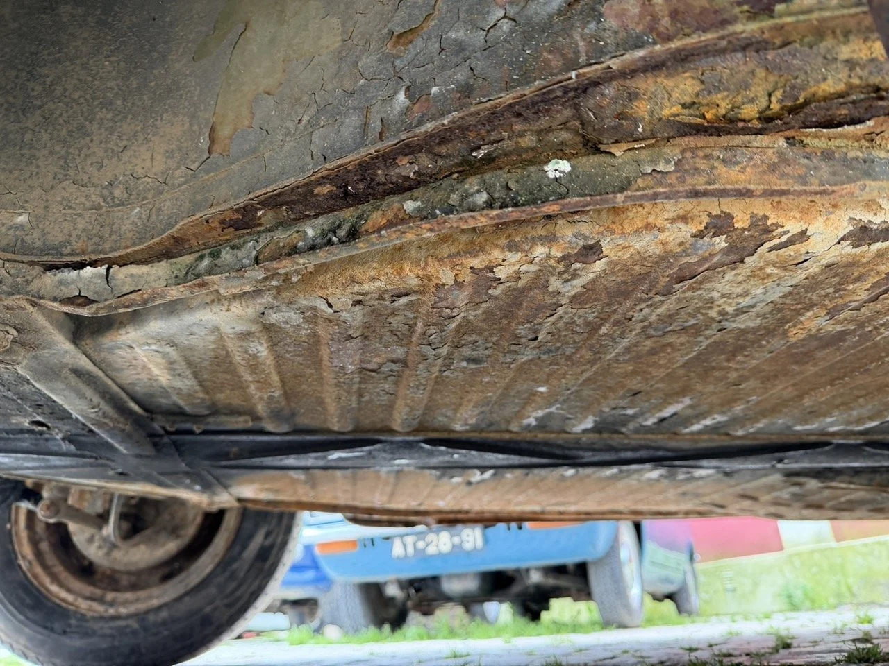 IMG_1237 – grande.jpeg