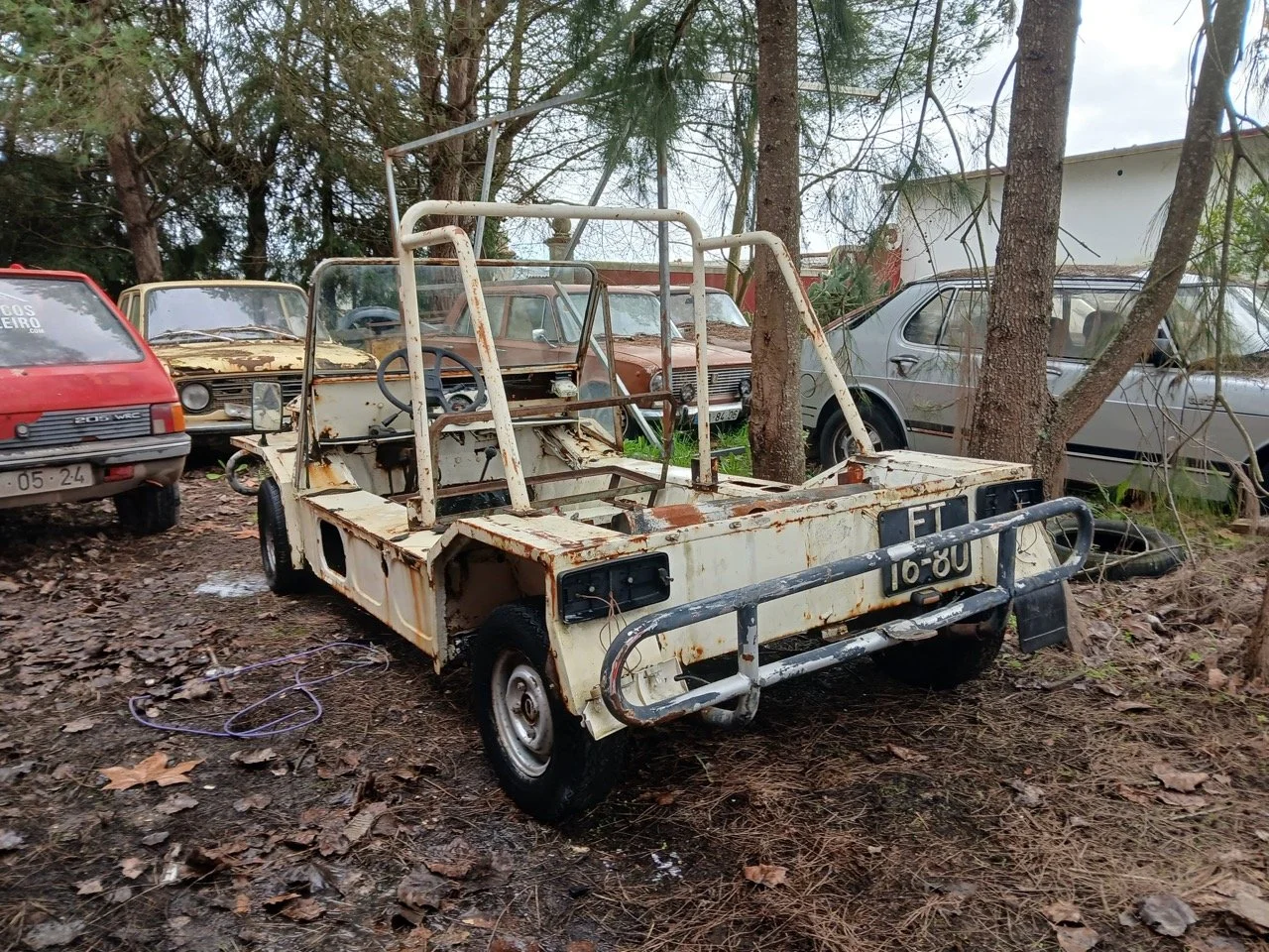 44b2d960-3b6a-42a3-916a-a012ae51ce7d – grande.jpeg