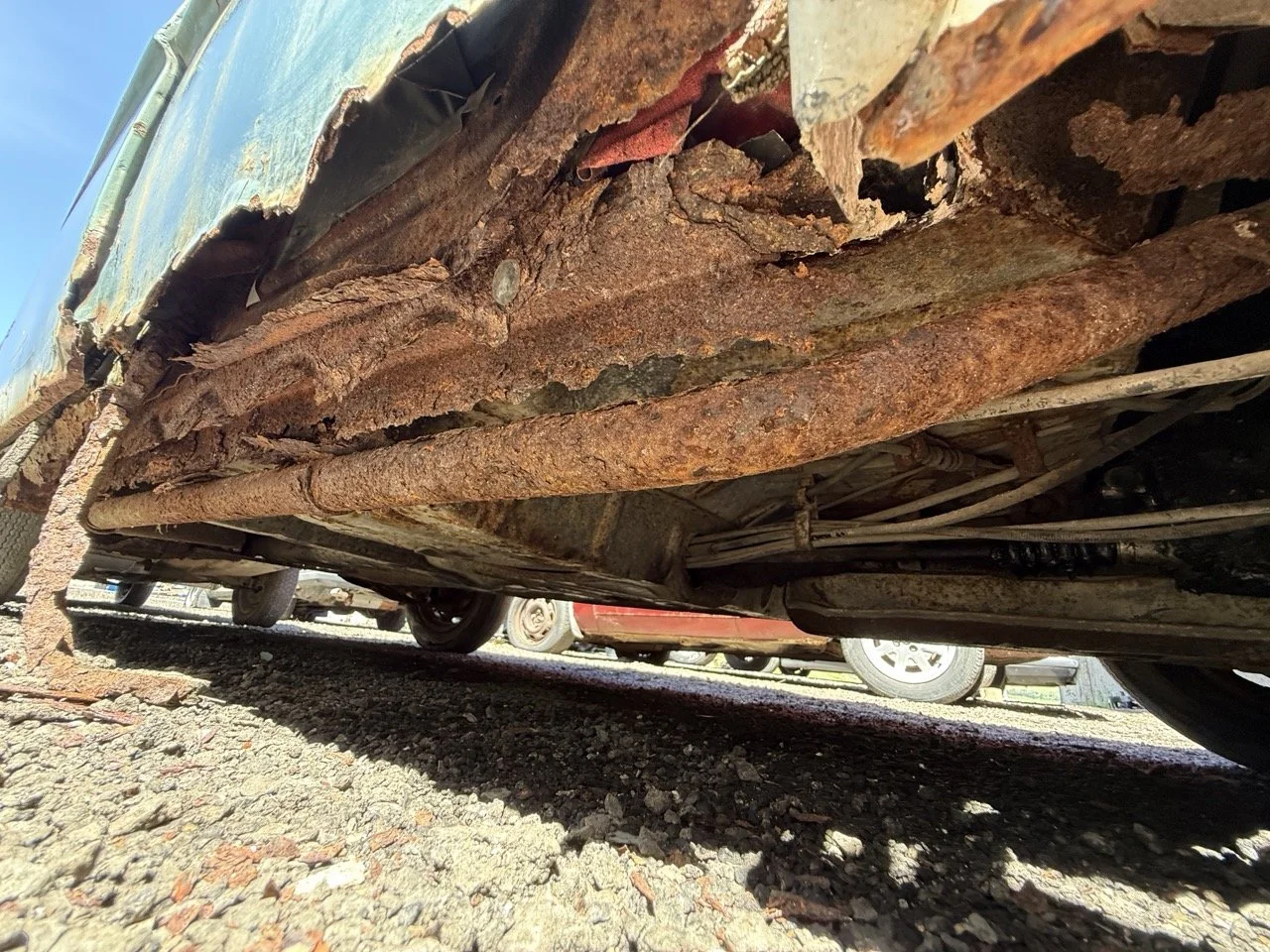 IMG_0889 – grande.jpeg