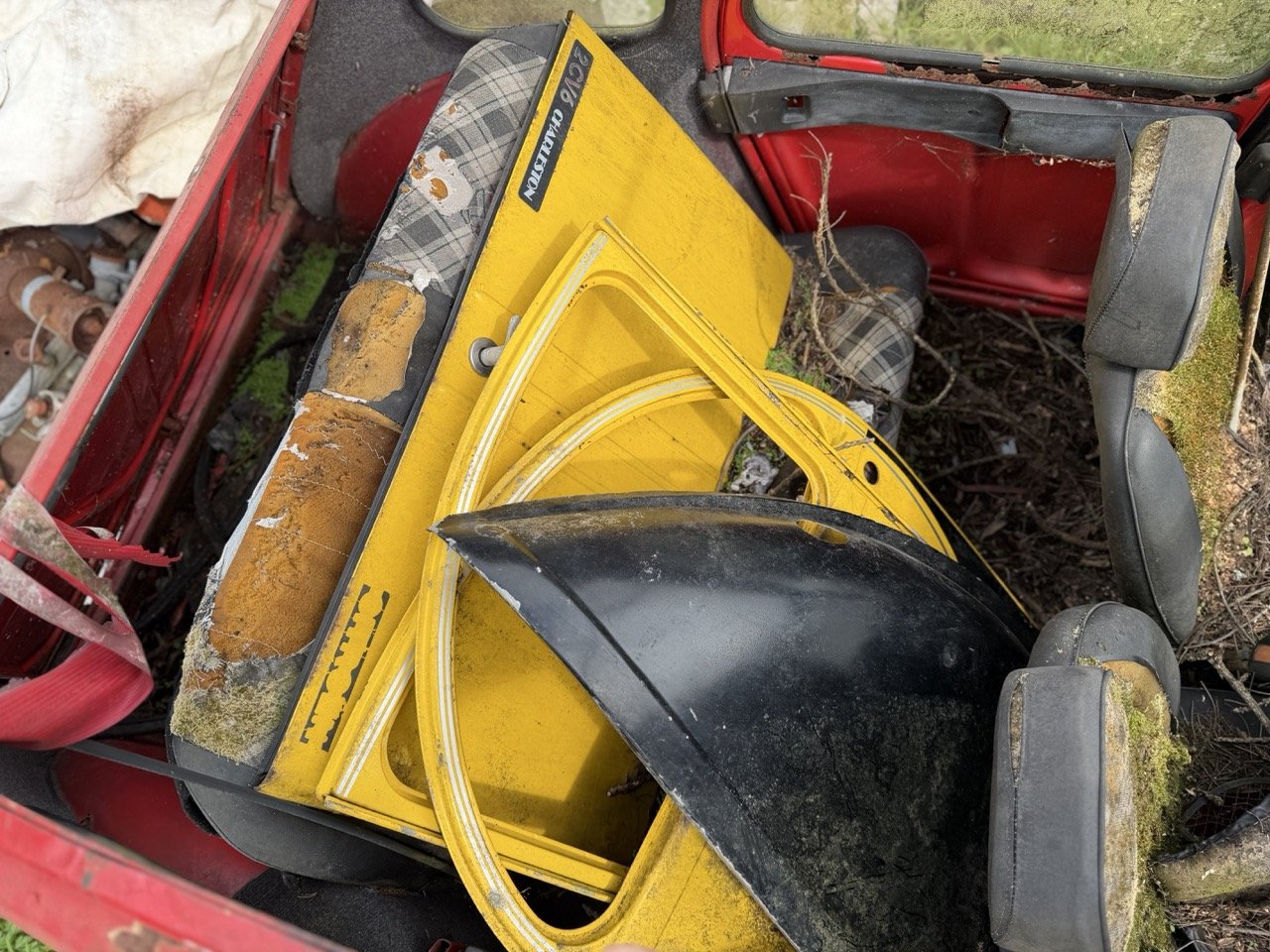 IMG_3855 – grande.jpeg