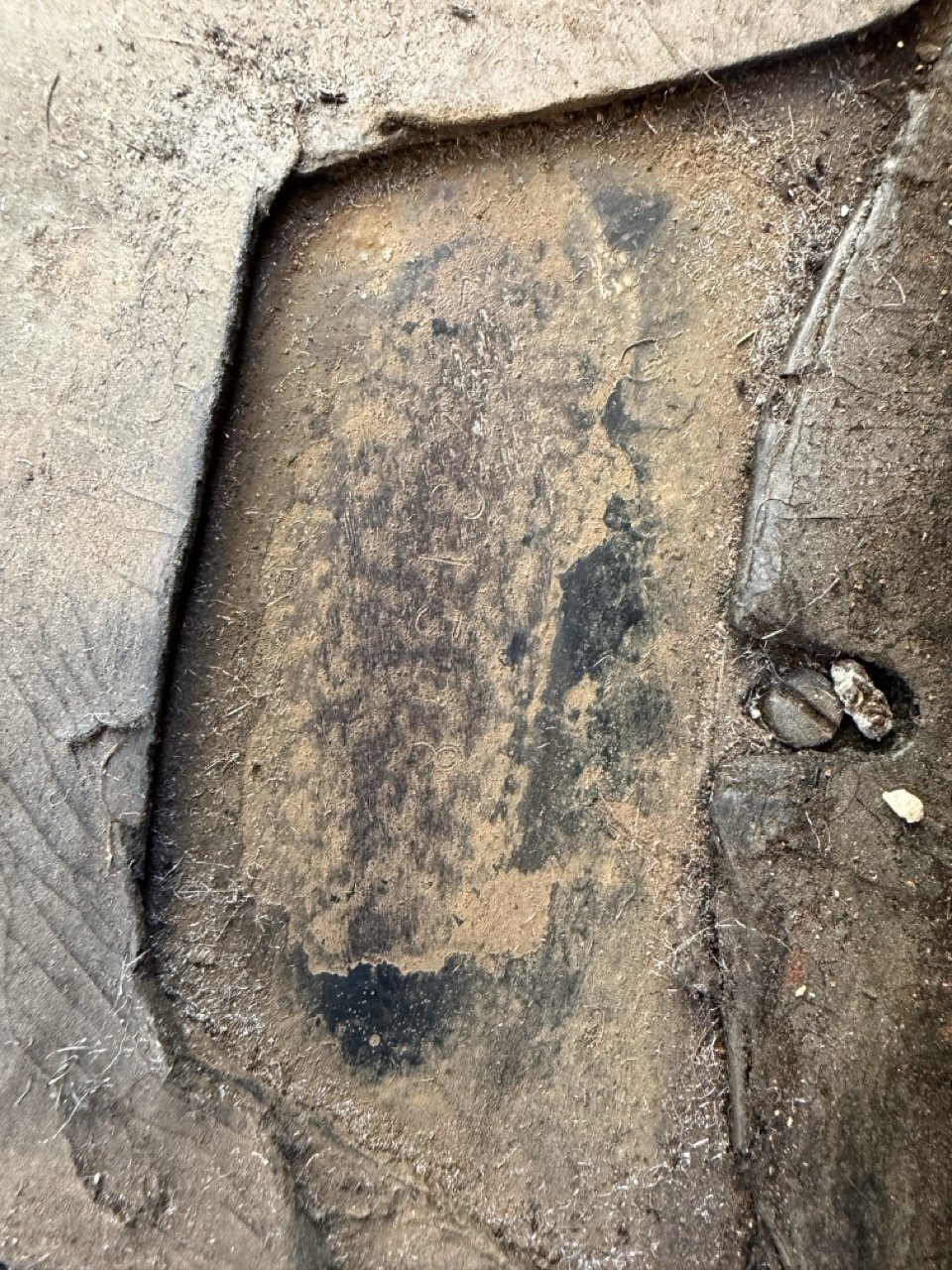 IMG_1857 – grande.jpeg