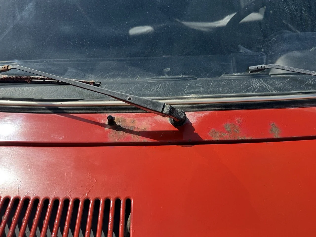 IMG_2346 – grande.jpeg