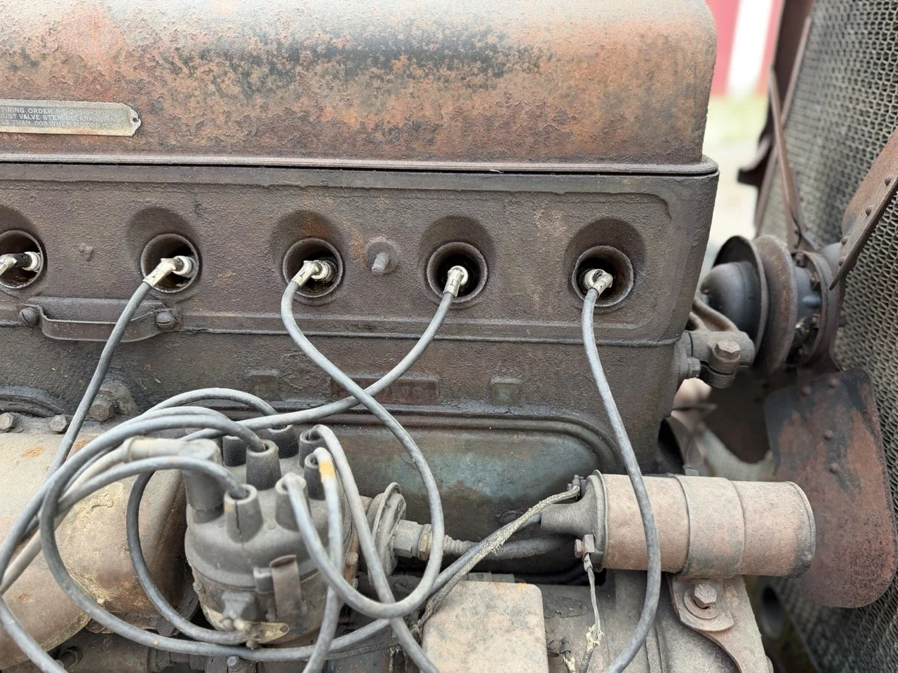 IMG_7048 – grande.jpeg