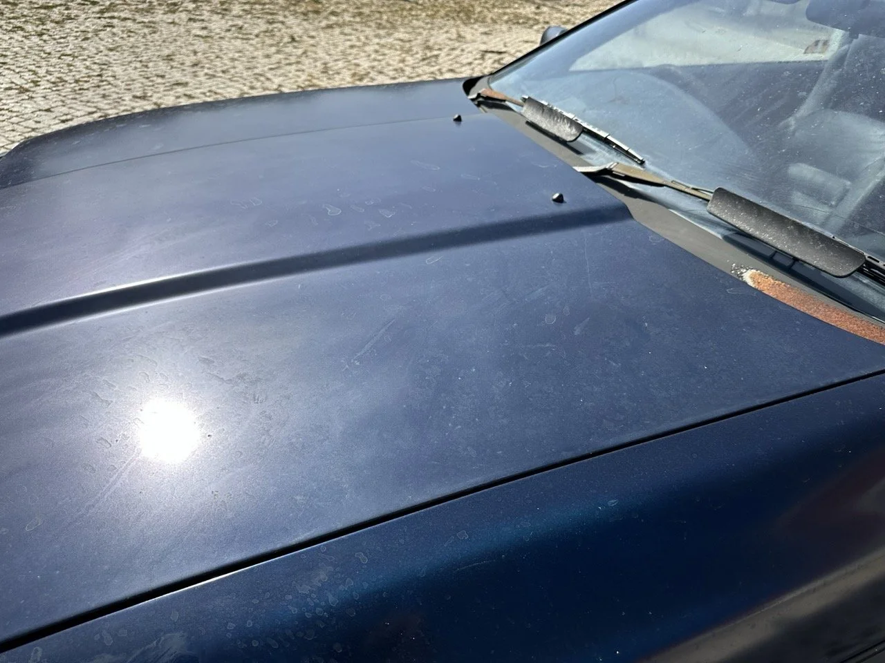 IMG_7238 – grande.jpeg