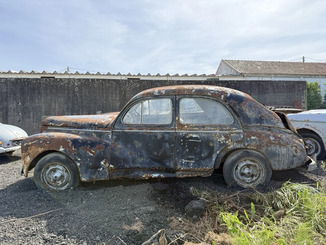 IMG_0390 – grande.jpeg