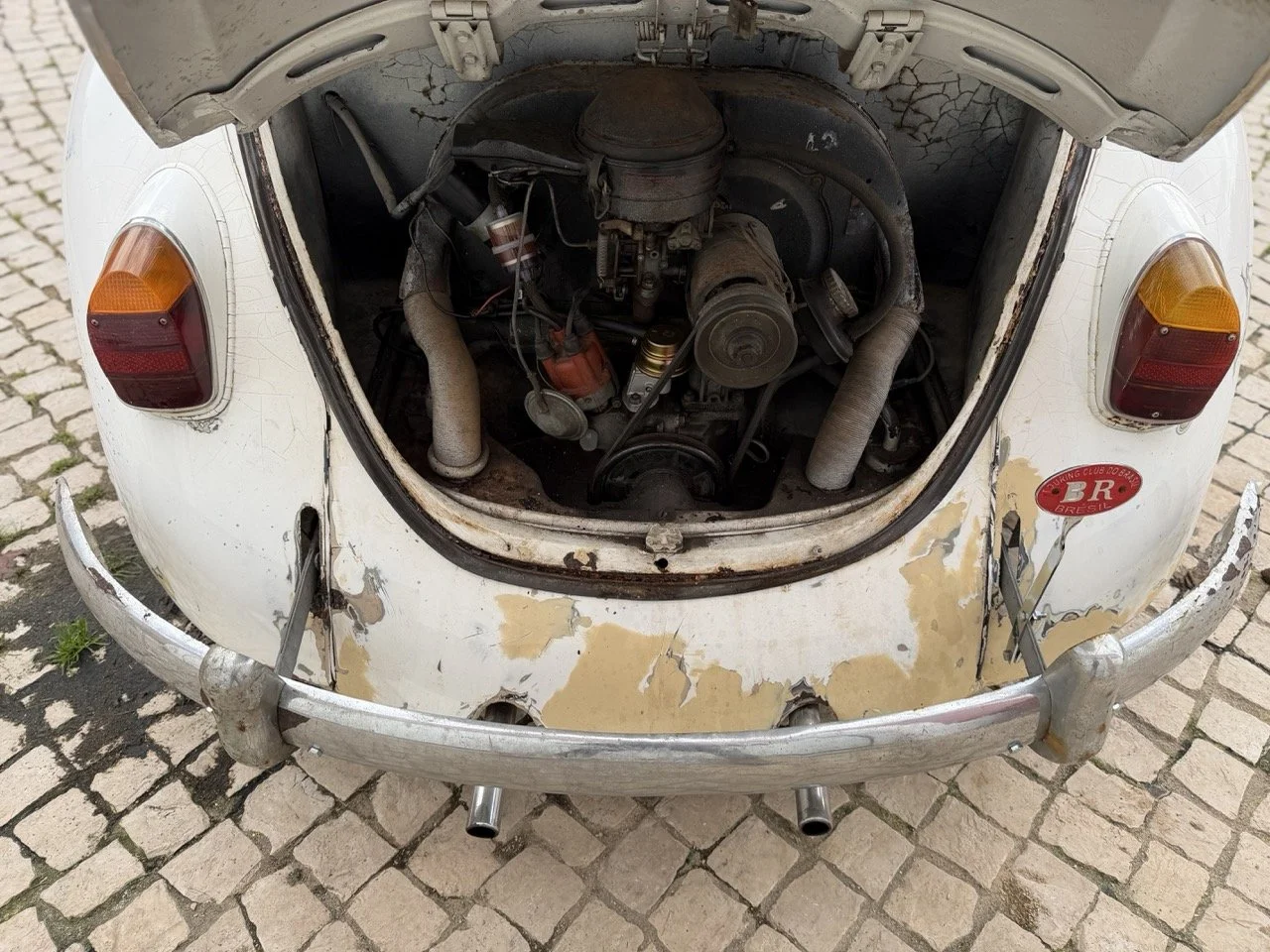 IMG_8647 – grande.jpeg