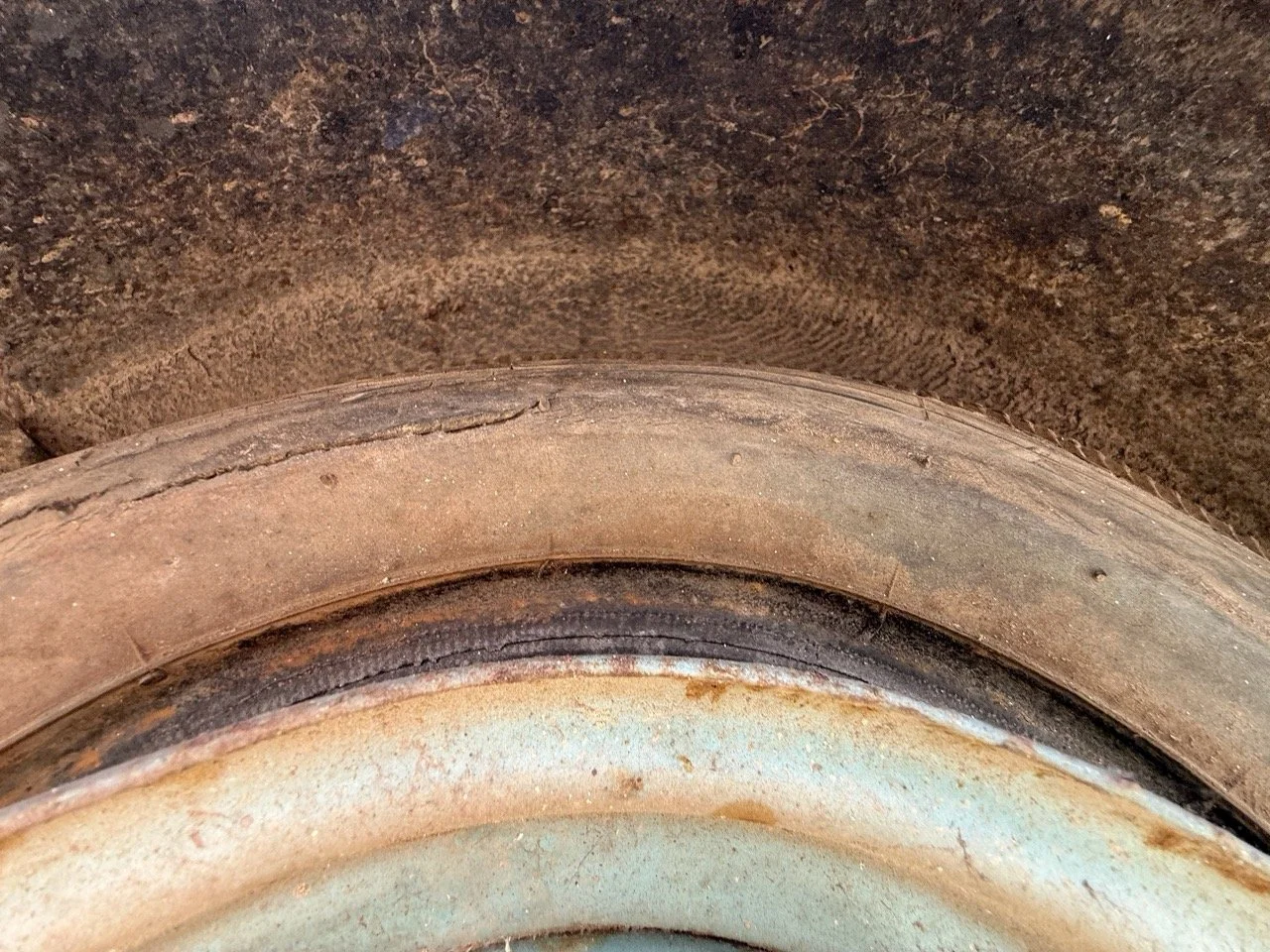 IMG_1422 – grande.jpeg