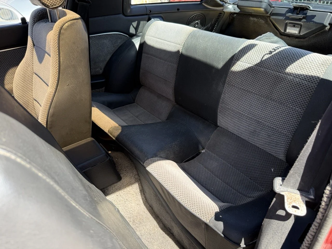 IMG_2036 – grande.jpeg