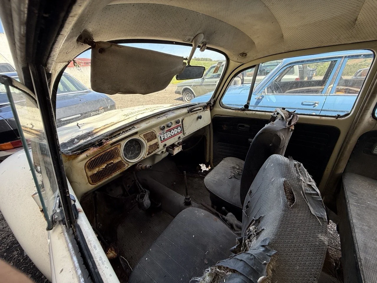 IMG_0659 – grande.jpeg