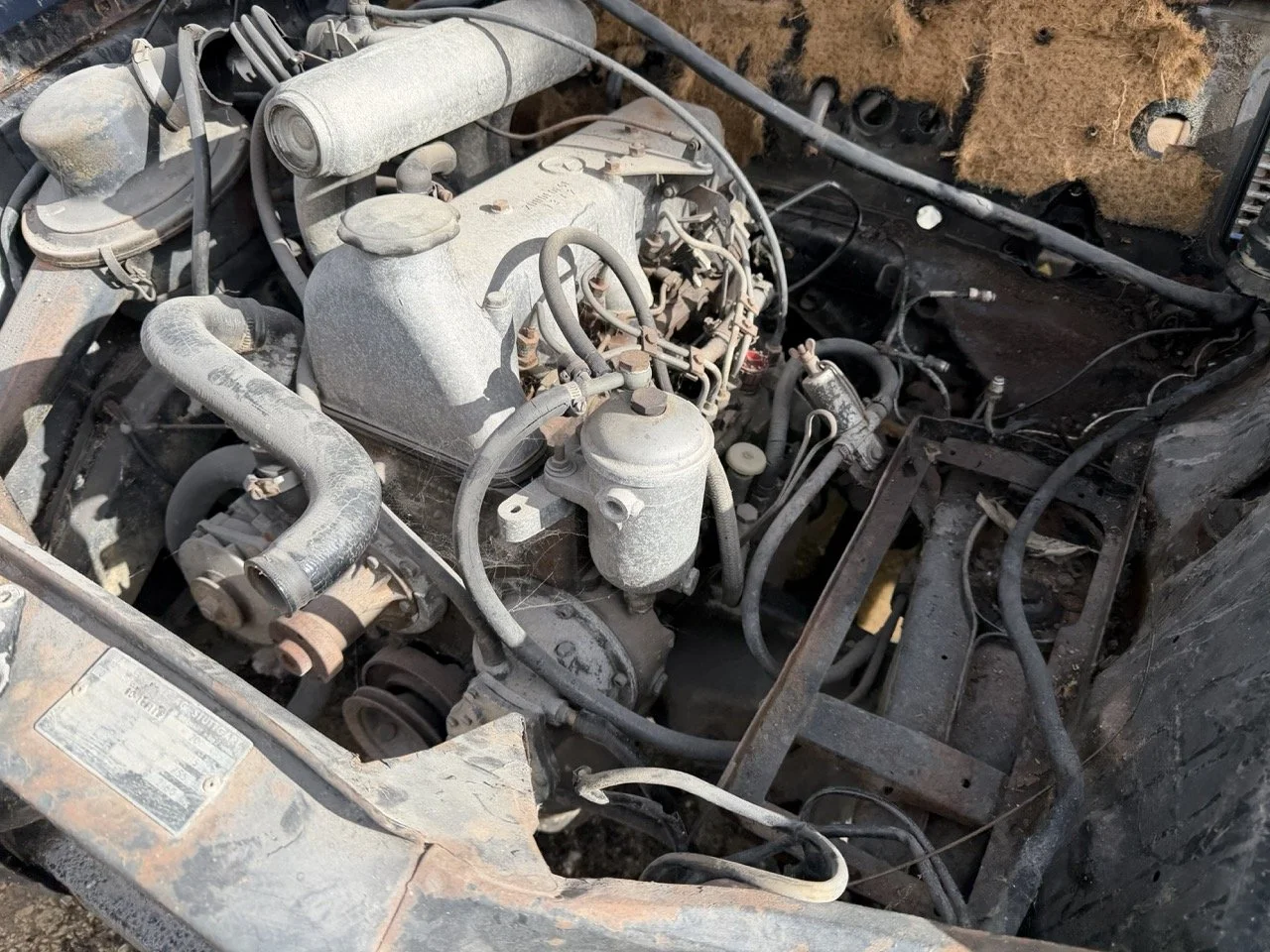 IMG_5251 – grande.jpeg