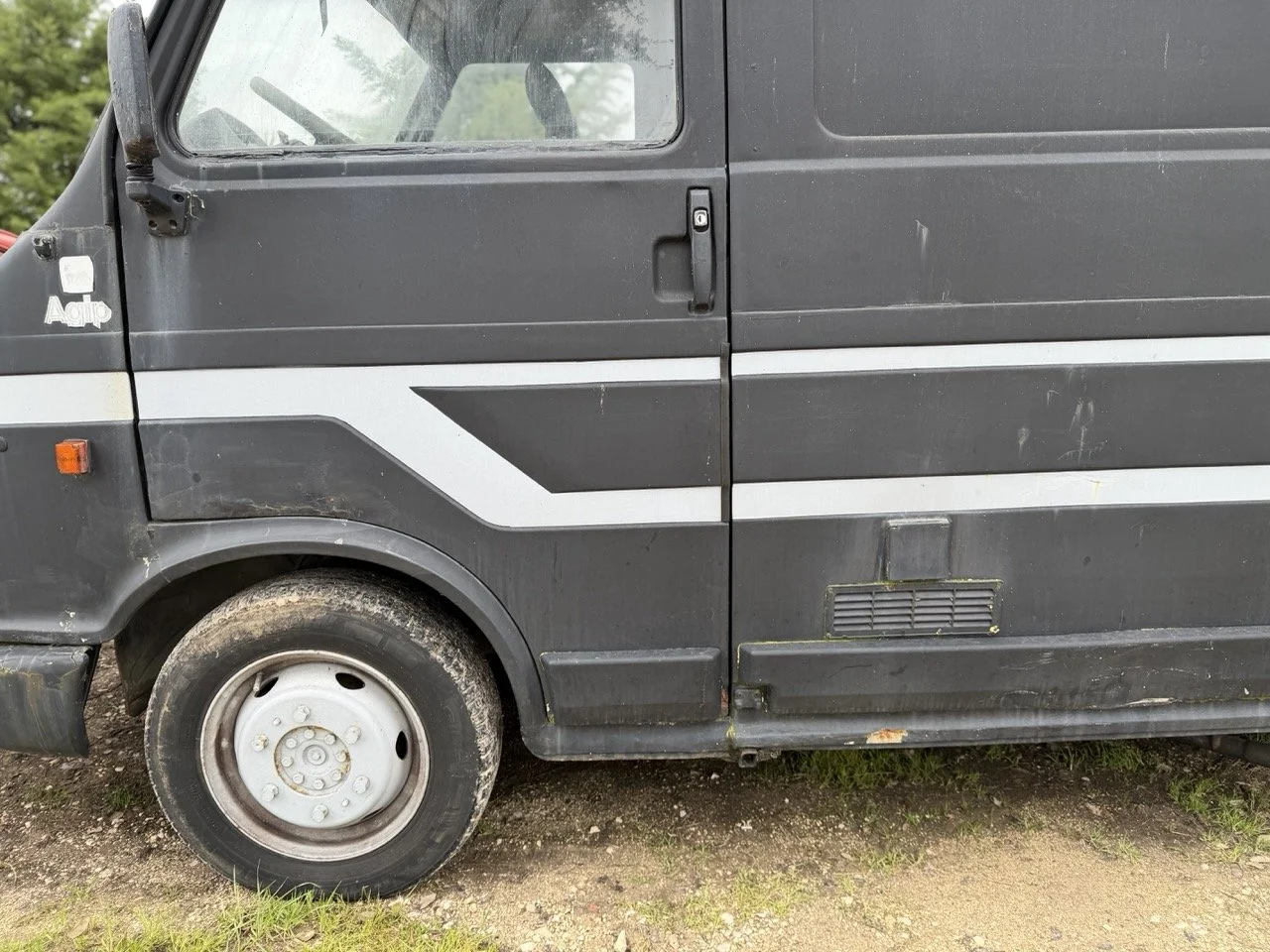 IMG_1311 – grande.jpeg