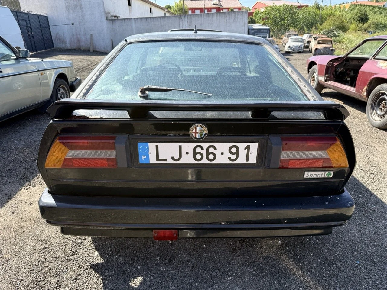 IMG_2891 – grande.jpeg