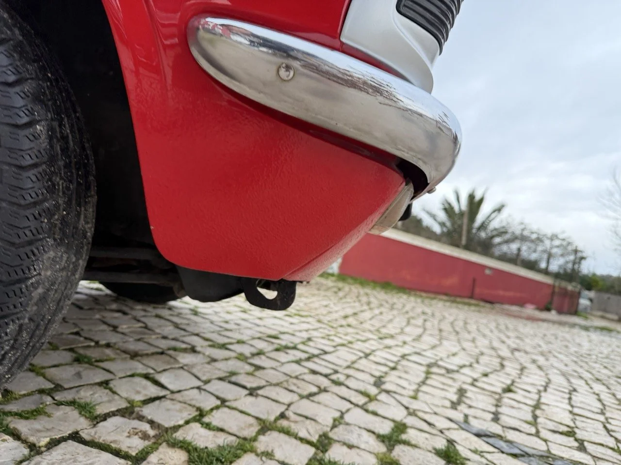 IMG_8292 – grande.jpeg