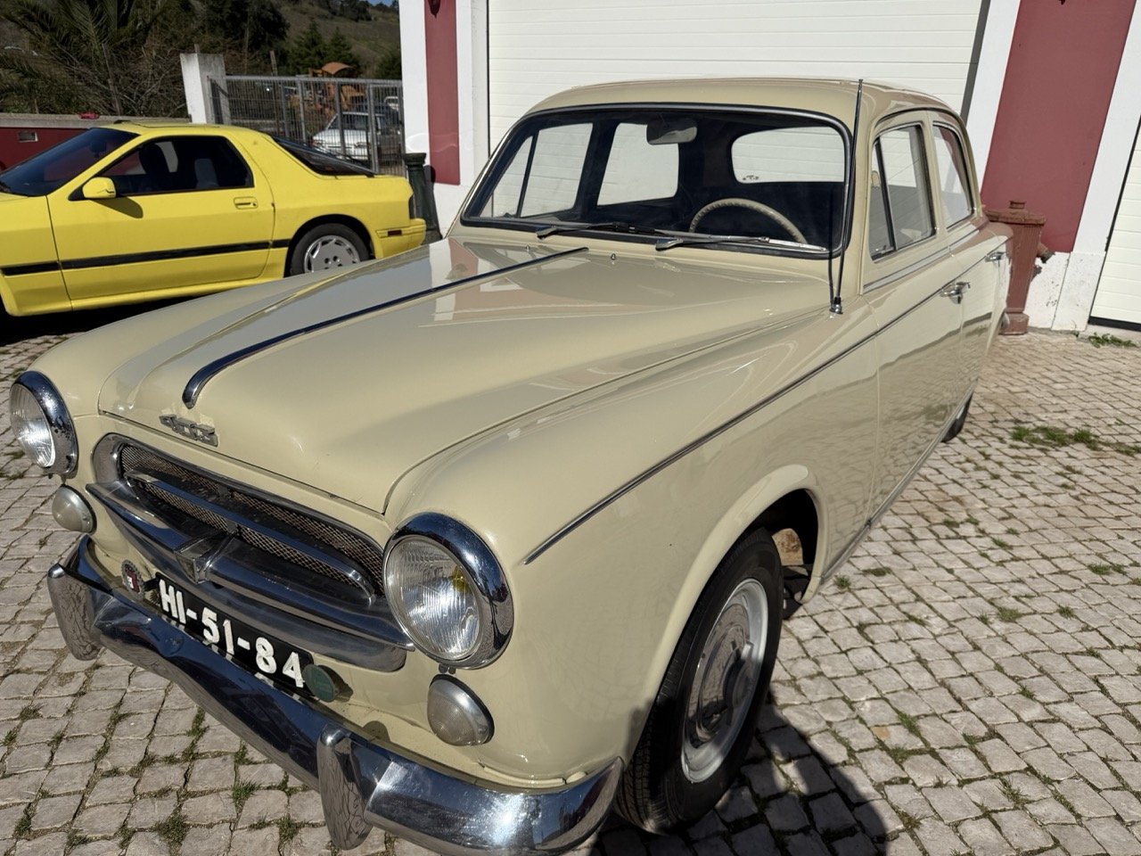 IMG_6714 – grande.jpeg