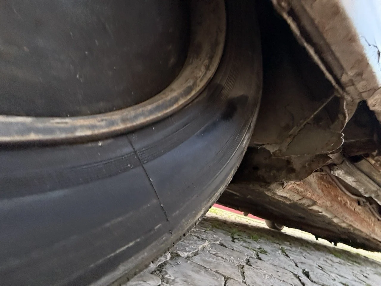 IMG_5991 2 – grande.jpeg