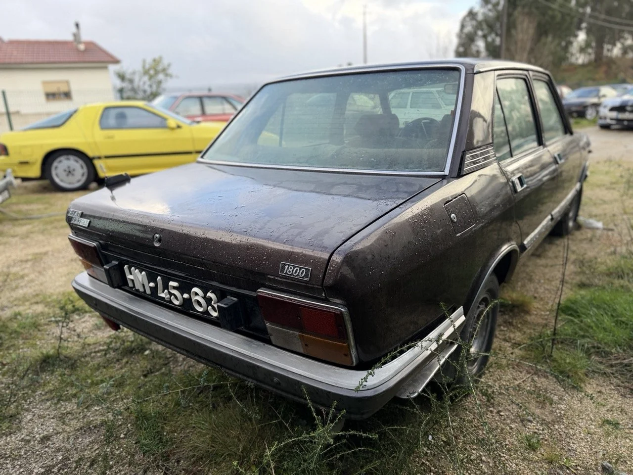 IMG_5244 – grande.jpeg