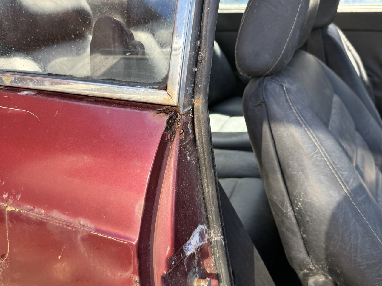 IMG_0946 – grande.jpeg