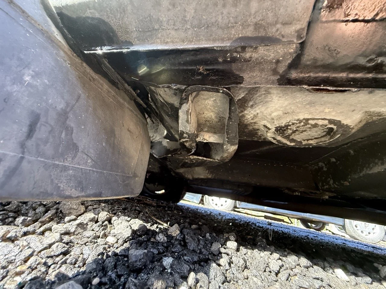 IMG_1220 – grande.jpeg